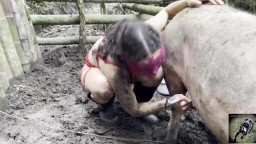 Шлюха сосёт длинный хуй у свиньи, зоо порно орал скачать